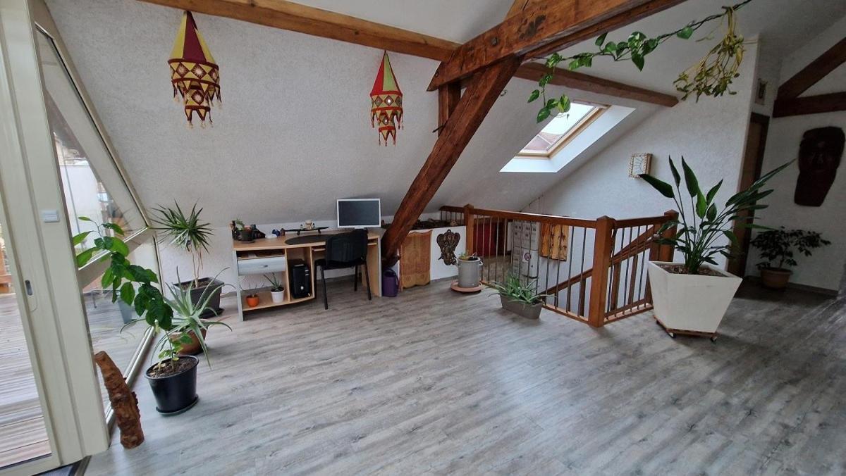 Bel appartement 120 m² très lumineux avec terrasse Morvillars Esterno foto